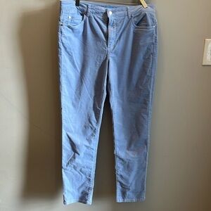 J. McLaughlin Watson Velvet Jeans Pants Baby Blue Size 12